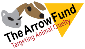 TheArrowFund